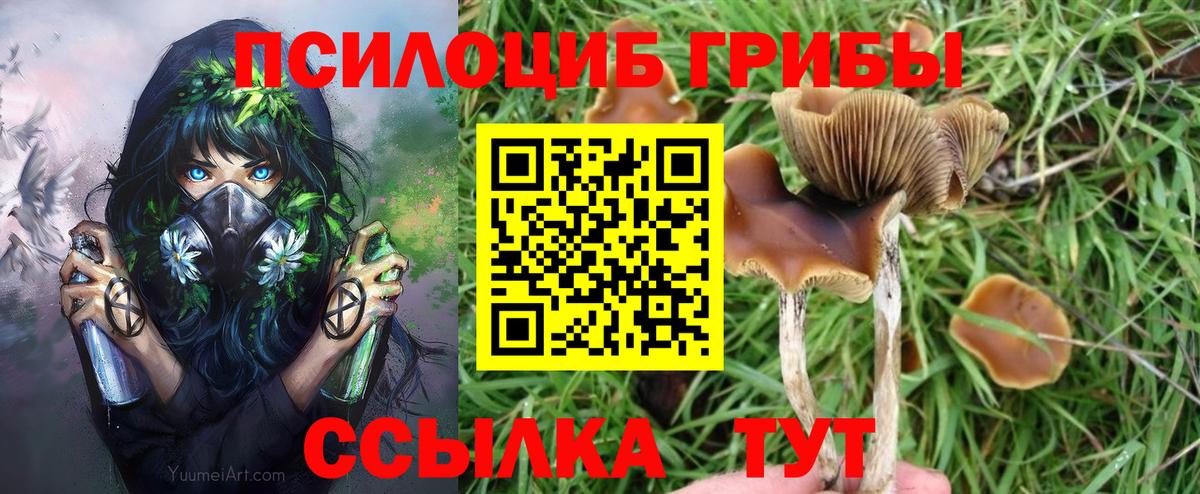 Галлюциногенные грибы мухоморы Партизанск