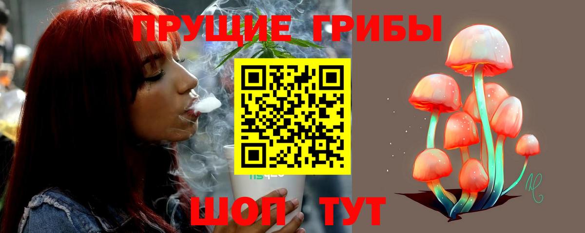 Псилоцибиновые грибы прущие грибы  Галлюциногенные грибы мицелий  Партизанск  Вход с VPN 